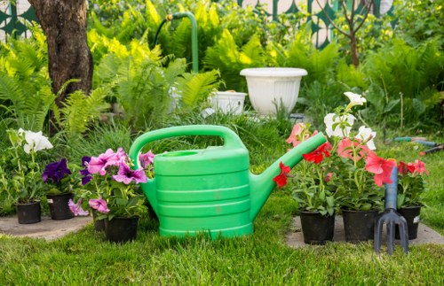 Various types of hedges suitable for Bounds Green gardens