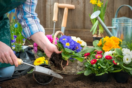 The image depicts a gardener's hand planting a vibrant purple and yellow flowering plant into dark, tilled soil in a garden bed. Surrounding the planting area are various colorful flowering plants including red, yellow, and white blossoms arranged in pots, as well as gardening tools such as a small hand trowel and a garden rake. In the background, there are additional gardening supplies including a watering can, a metal container, and a wooden fence. The scene is set outdoors in a well-maintained garden space, likely part of a residential property within the Bounds Green area, reflecting active gardening and lawn care efforts by Lawn Mowing Bounds Green as part of their gardening services. The lighting suggests natural daylight with a clear, slightly overcast sky, highlighting the natural tones of the soil, green foliage, and vivid flower colours. This detailed view emphasizes planting activities characteristic of professional gardening and landscaping work aimed at enhancing outdoor spaces for local homeowners.