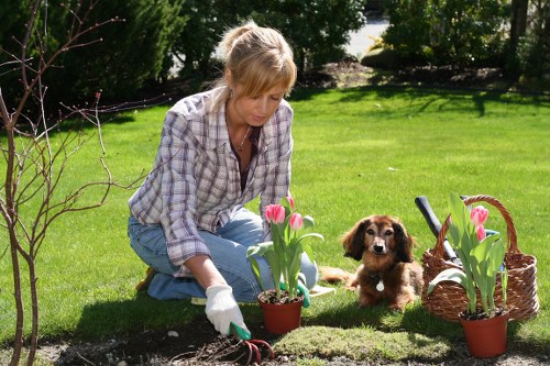 Operative inspecting equipment before grass cutting