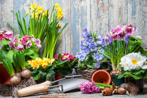 A collection of flowering plants arranged in pots and baskets on a rustic wooden surface, featuring yellow daffodils, pink primroses, purple and blue hyacinths, and white primroses with yellow centers, accompanied by gardening tools such as a small trowel and a hand rake, alongside bulbs and soil, set against a weathered blue wooden backdrop, illustrating a vibrant and colorful collection suitable for outdoor garden planting and landscaping in Bounds Green or the surrounding London area, with natural light highlighting the bright blossom colors and fresh greenery.