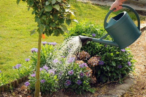 Weeding and aerating a Bounds Green lawn